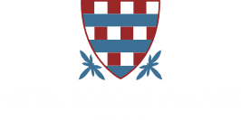 bosone-logo-footer